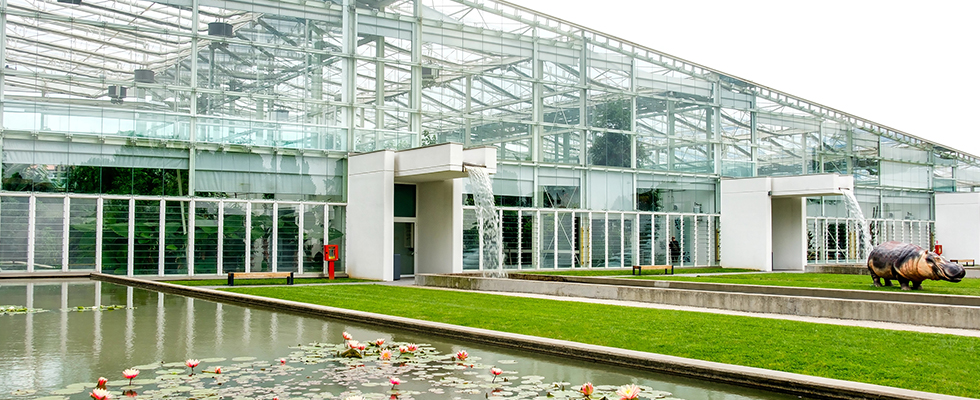 Jardin Botanique De Padoue