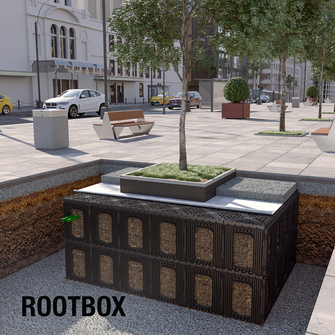 Rootbox