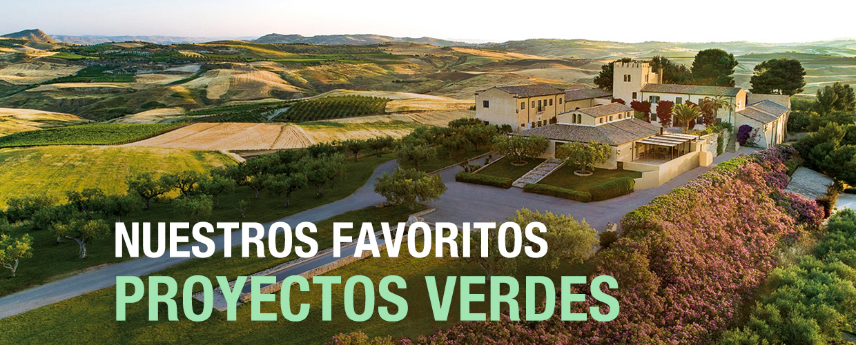 Nuestros favoritos proyectos verdes